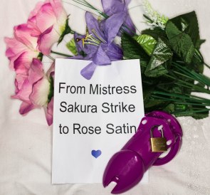From Mistress Sakura Strike to Rose Satin a gift of Chastity